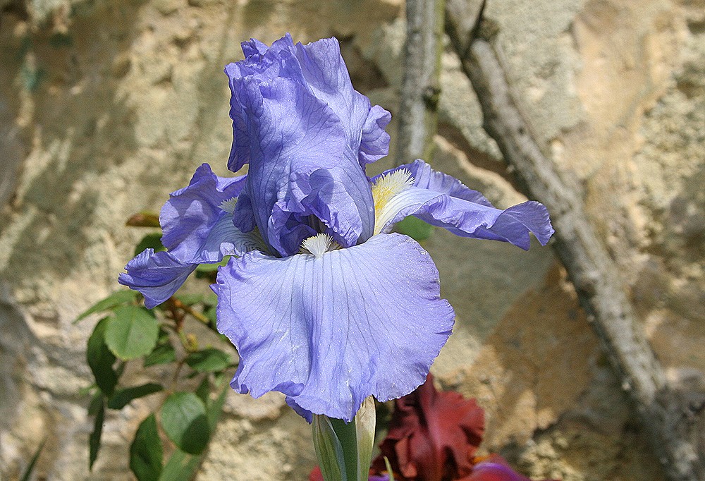 ciel d'été