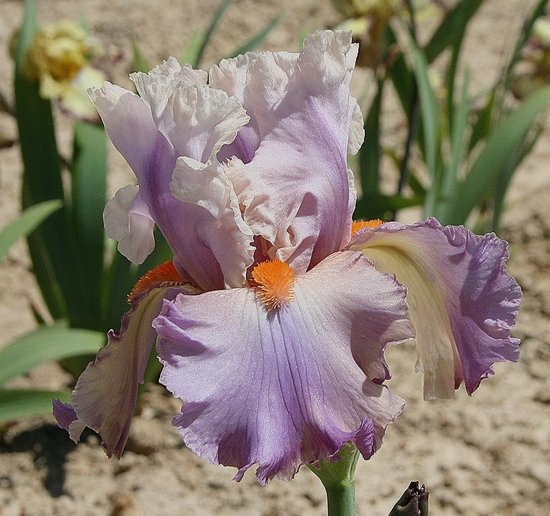 val de loire