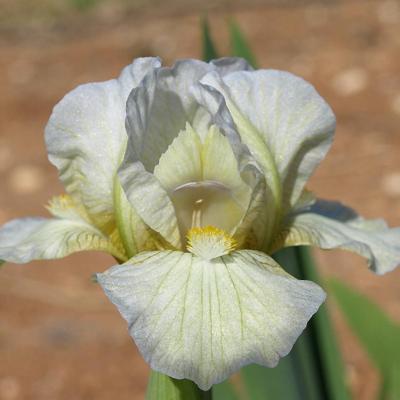 Pushing the envelope4